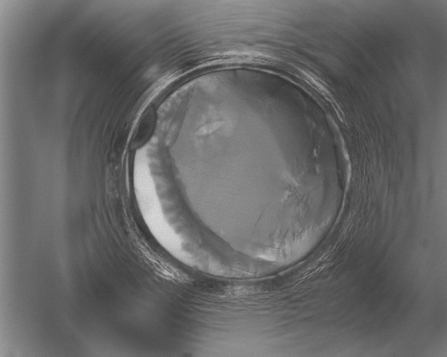 X0000051241275200507082114