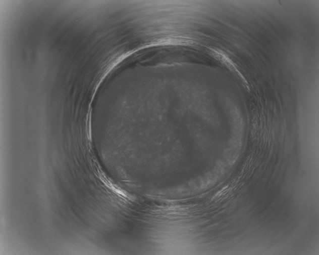 X0000051241276200507082114