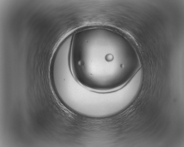 X0000051241279200507082114