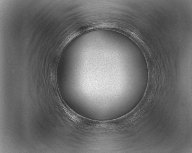 X0000051241281200507082114