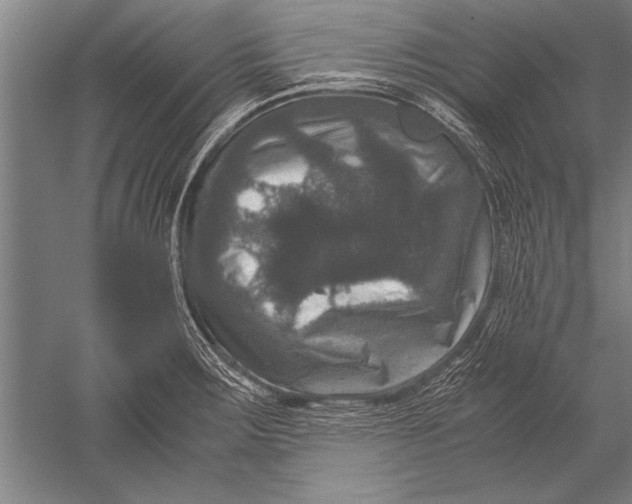 X0000051241283200507082114