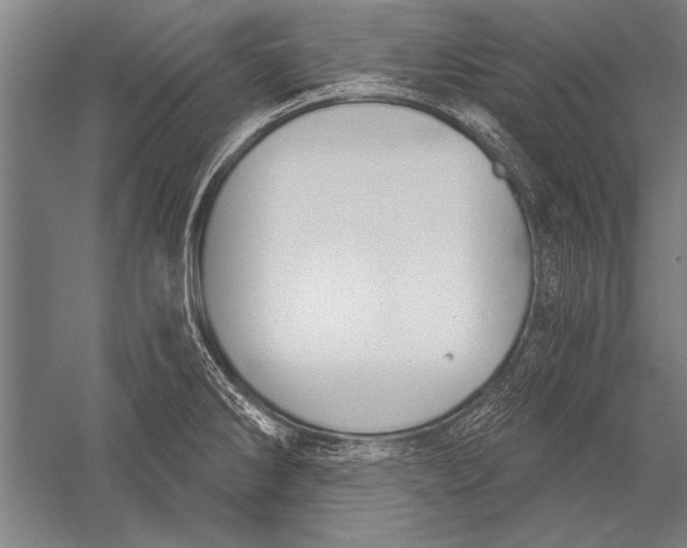 X0000051241286200507082114