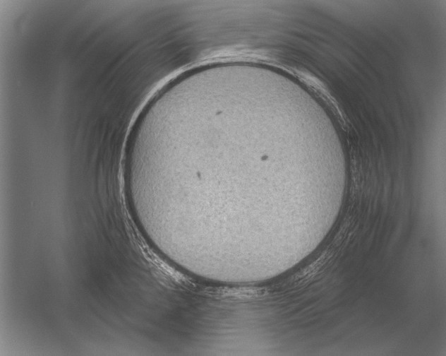 X0000051241288200507082114