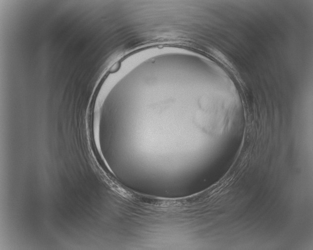 X0000051241291200507082114