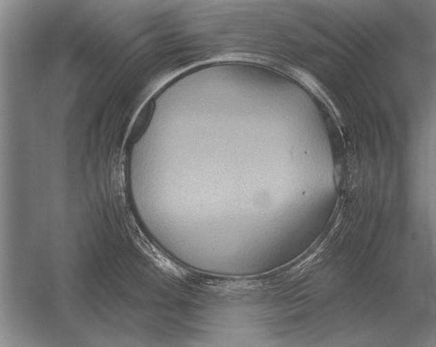 X0000051241292200507082114