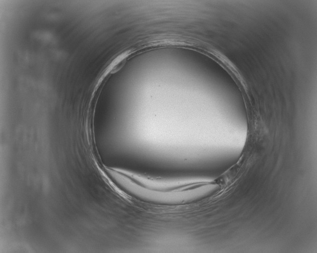 X0000051241293200507082114