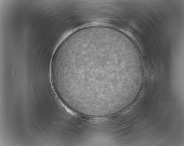 X0000051241294200507082114