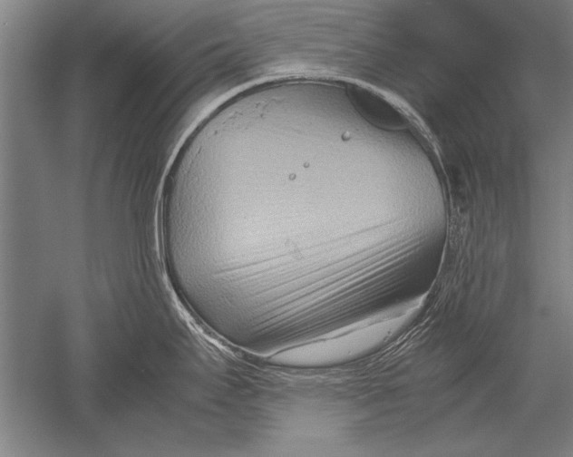 X0000051241295200507082114