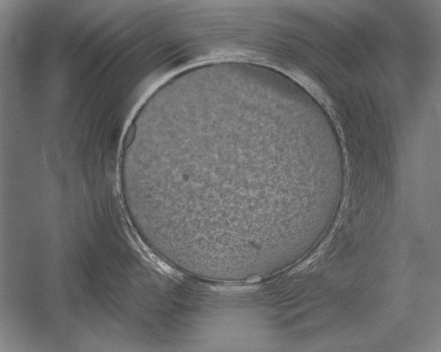 X0000051241296200507082114