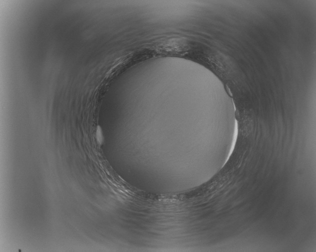 X0000051241297200507082113