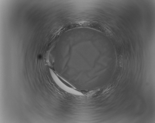 X0000051241298200507082113