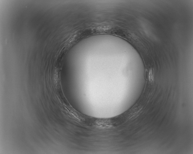 X0000051241299200507082113