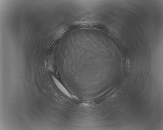 X0000051241300200507082113