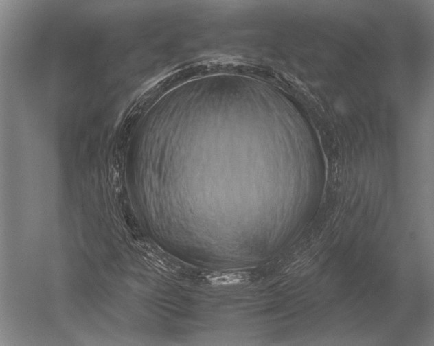 X0000051241303200507082113