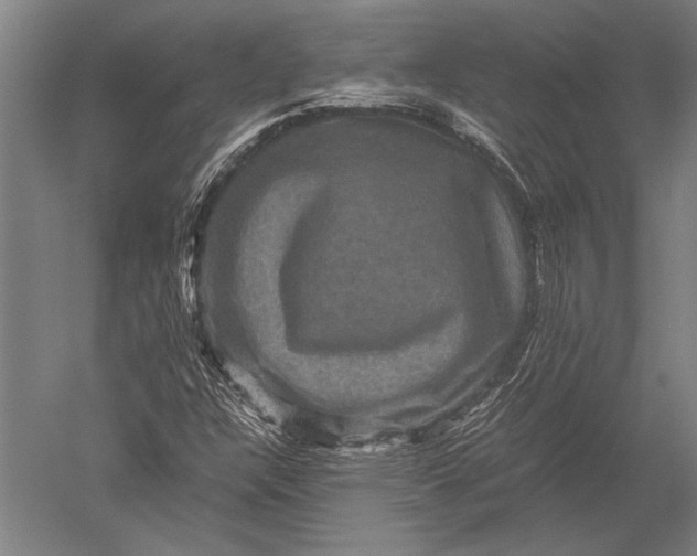 X0000051241304200507082113