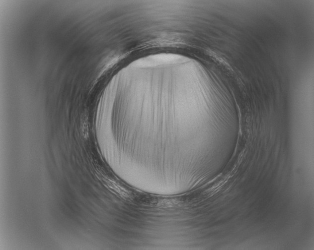 X0000051241306200507082113