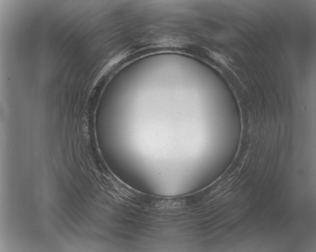 X0000051241307200507082113