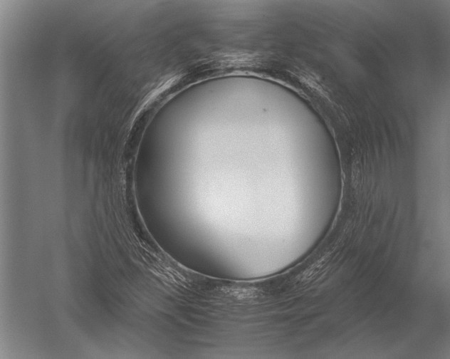 X0000051241309200507082113