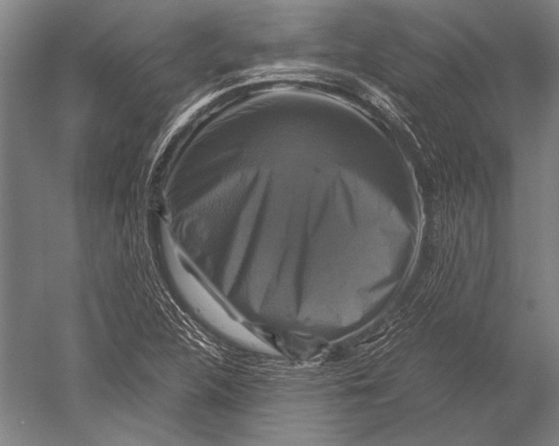 X0000051241312200507082114