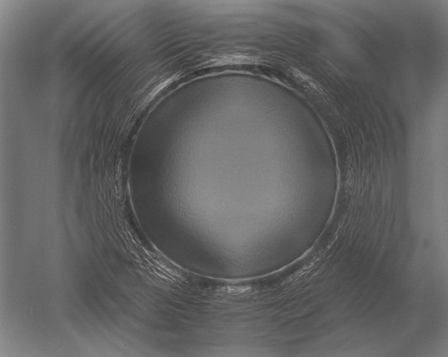 X0000051241313200507082114