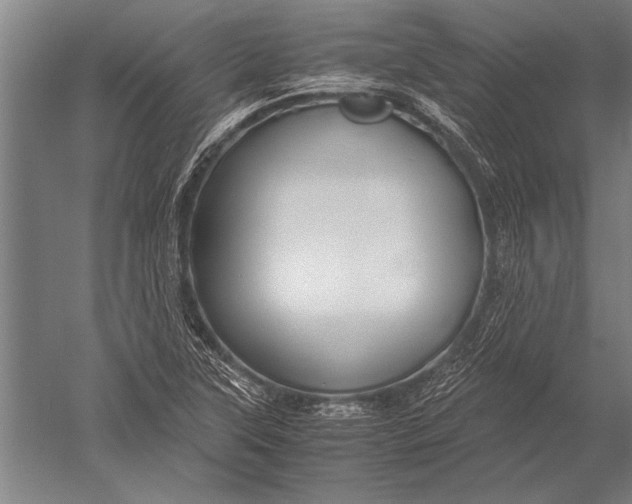 X0000051241315200507082114