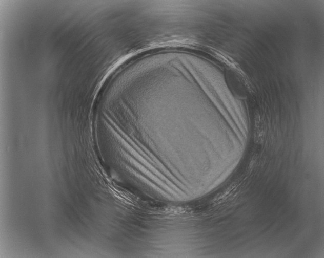 X0000051241316200507082114