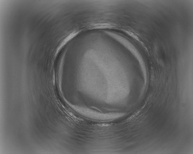 X0000051241317200507082114