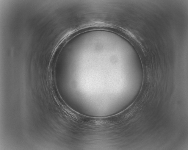 X0000051241318200507082114