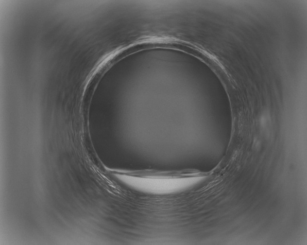 X0000051241319200507082114