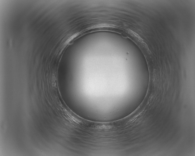 X0000051241321200507082114