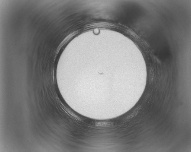 X0000051241322200507082114