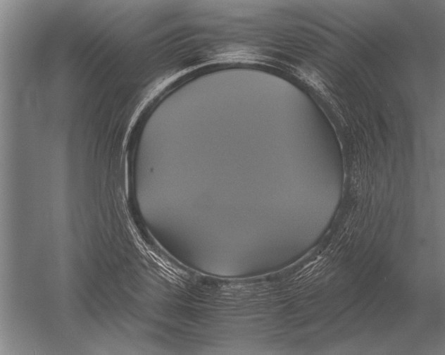 X0000051241323200507082114