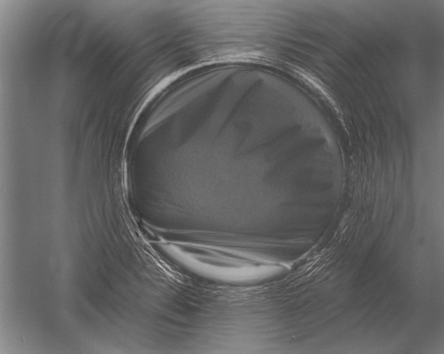 X0000051241324200507082114