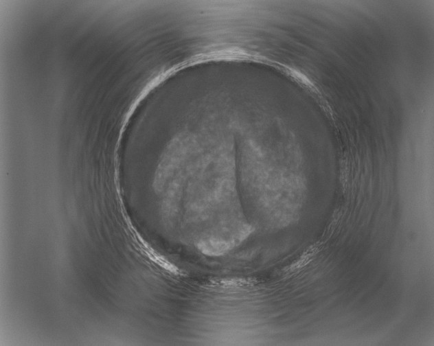 X0000051241326200507082114