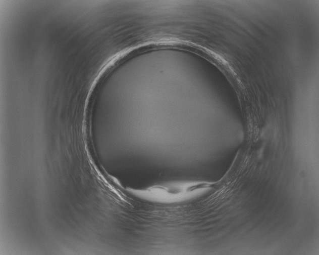 X0000051241327200507082114