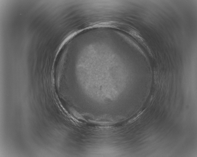 X0000051241328200507082114