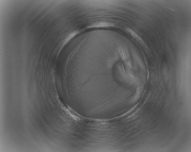 X0000051241329200507082114