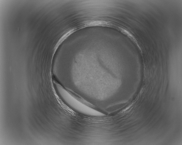 X0000051241330200507082114