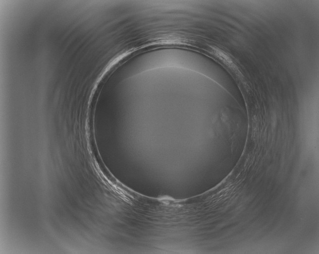 X0000051241331200507082114