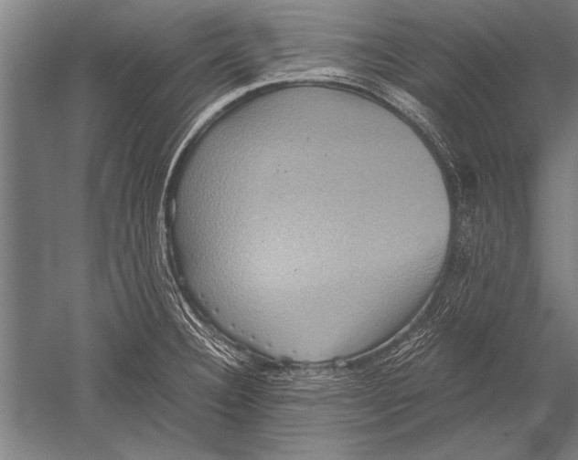 X0000051241332200507082114