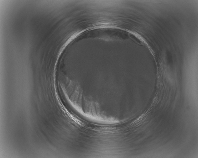 X0000051241333200507082114