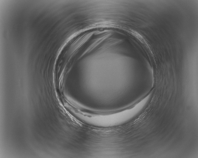 X0000051241334200507082114