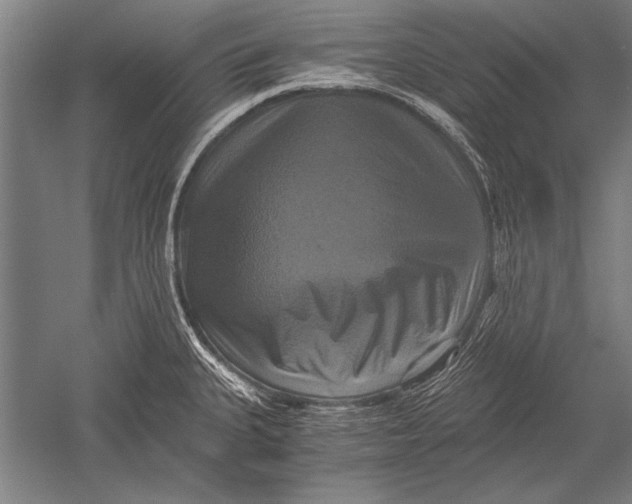 X0000051241335200507082114