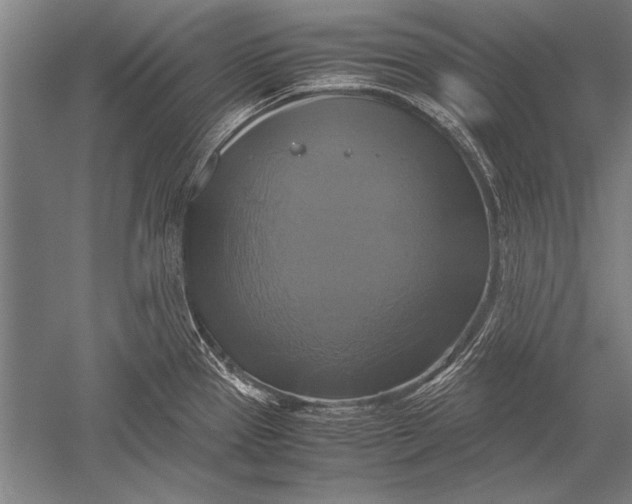 X0000051241337200507082114