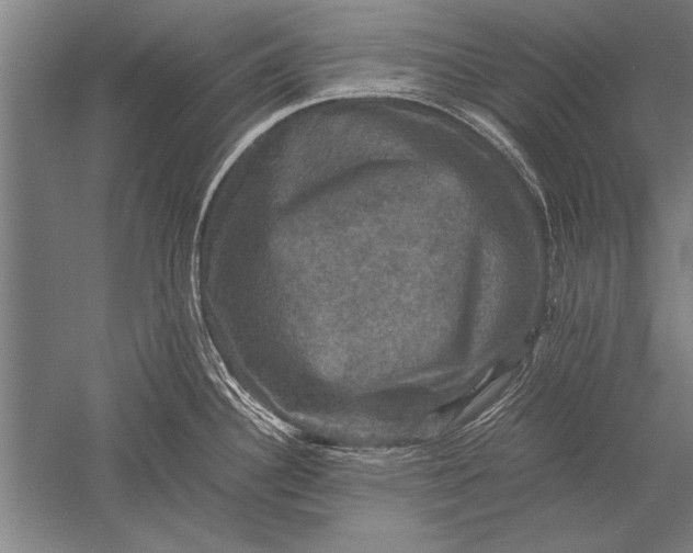 X0000051241340200507082114