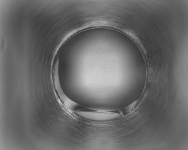 X0000051241342200507082114