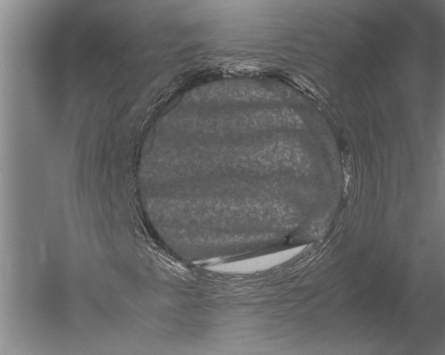 X0000051241345200507082113