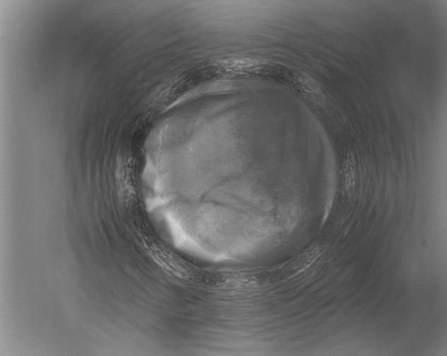 X0000051241346200507082113