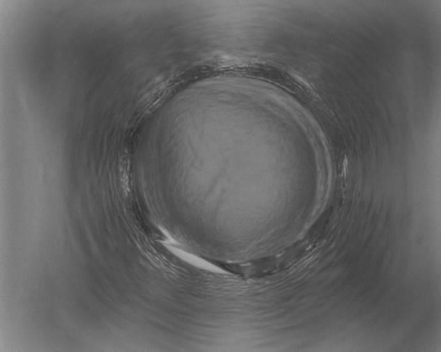 X0000051241348200507082113