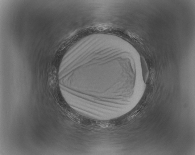 X0000051241349200507082113